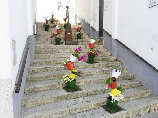 (Galería de fotos) Menorca se llena de flores