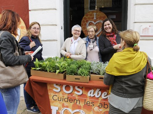 (Fotos) Música, luz y color en el “Maó+Flors”