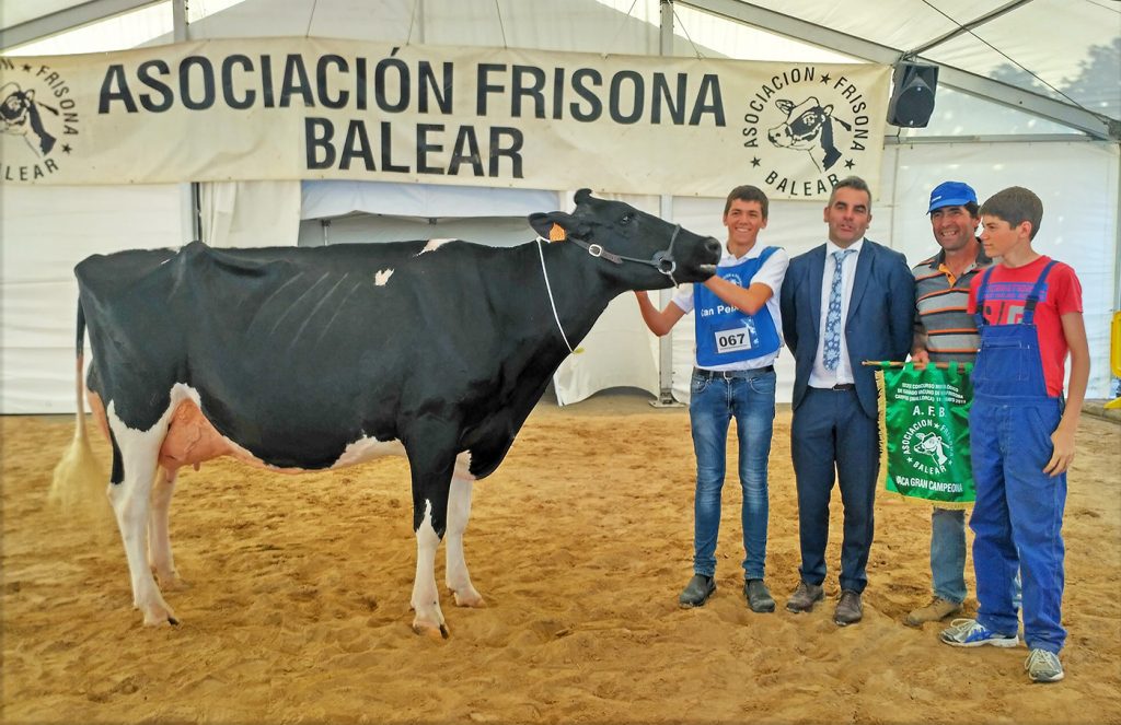 La ganadería Son Quart de Ciutadella recibió varios premios en la Feria de Campos