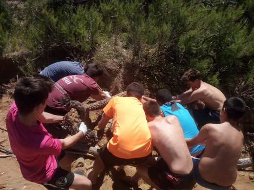 (Fotos) Los Escoltes de Menorca retiran 600 kilos de residuos de las playas