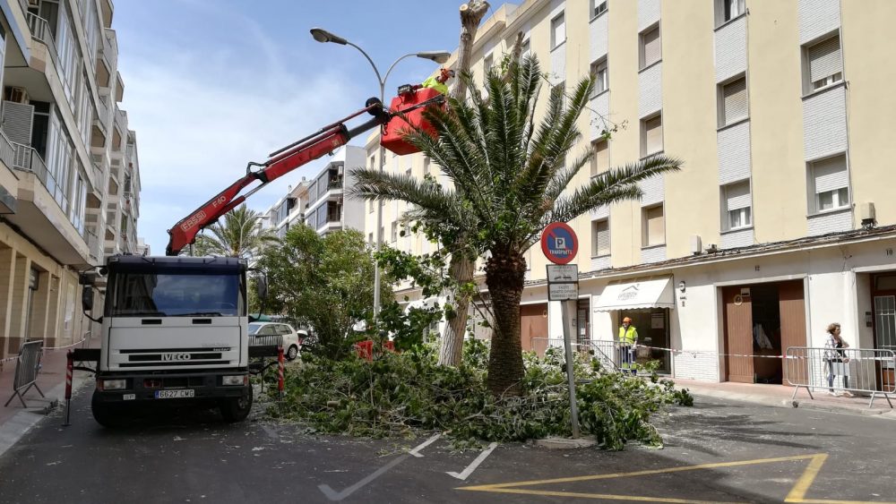 La brigada, retirando el árbol (Fotos: Tolo Mercadal)