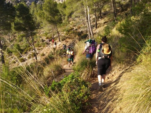 (Galería de fotos) “Trucaires” de Ferreries, en La Trapa de Mallorca