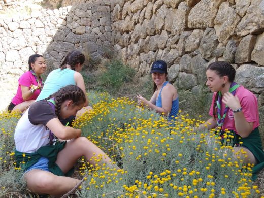 (Galería de fotos) “Trucaires” de Ferreries, en La Trapa de Mallorca