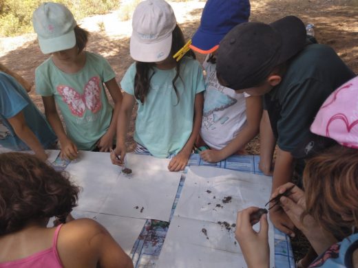 (Galería de fotos) Diversión y naturaleza en las colonias de verano del GOB