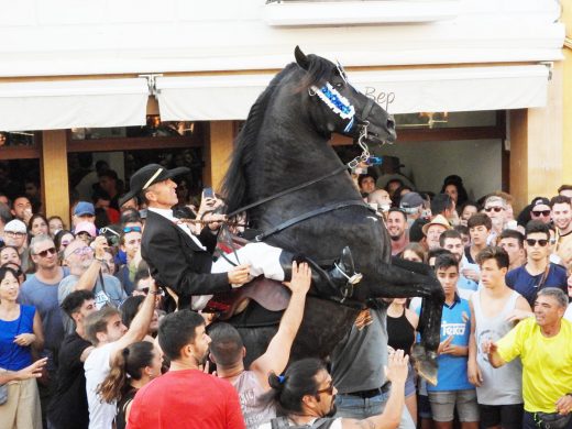 (Vídeo y fotos) Los caballos ya botan en Es Mercadal