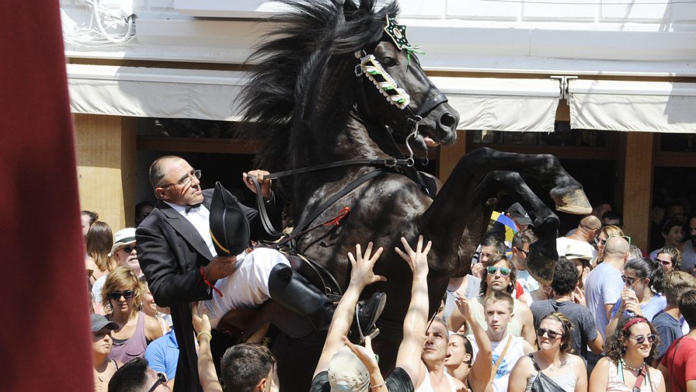 Un momento del jaleo matinal (Foto: Tolo Mercadal)