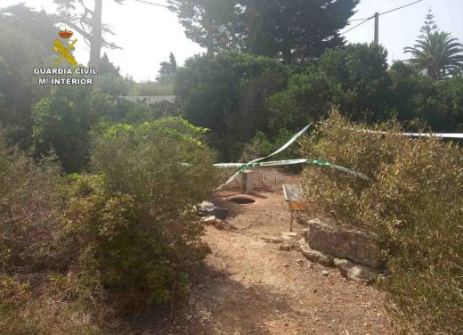 Imagen de la plantación incautada por la Guardia Civil