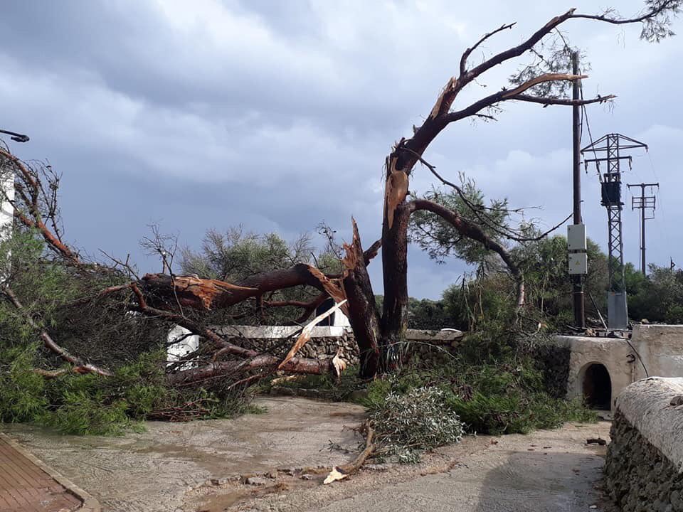 El cap de fibó arrasó 19 fincas agrícolas causando numerosos destrozos