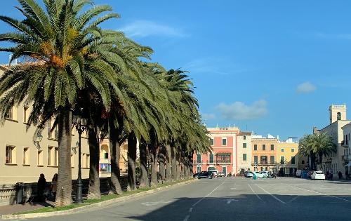 Desde el ayuntamiento de Ciutadella recuerdan los beneficios de los árboles en la ciudad