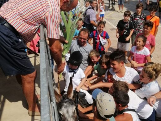 (Galería de fotos) Paellas y “jaleo d’ases” para despedir las fiestas de Sant Lluís