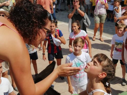 (Galería de fotos) Paellas y “jaleo d’ases” para despedir las fiestas de Sant Lluís