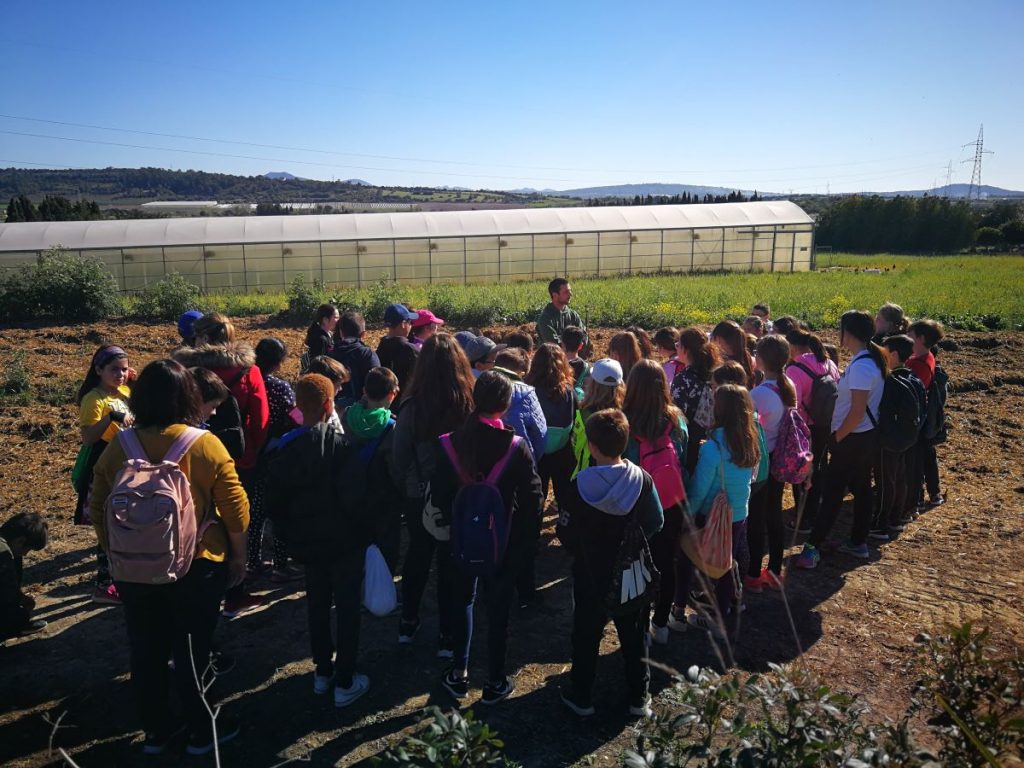 Imagen de una de las actividades escolares