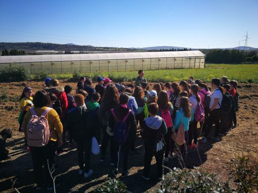 Imagen de una de las actividades escolares