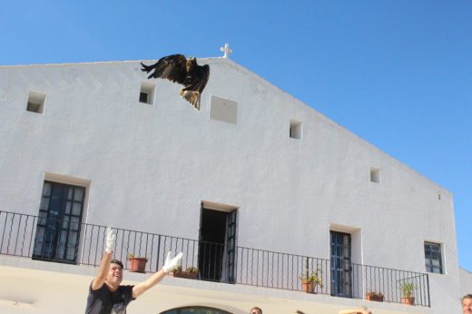 Momento de la liberación del "soter" (Foto y vídeo: GOB)