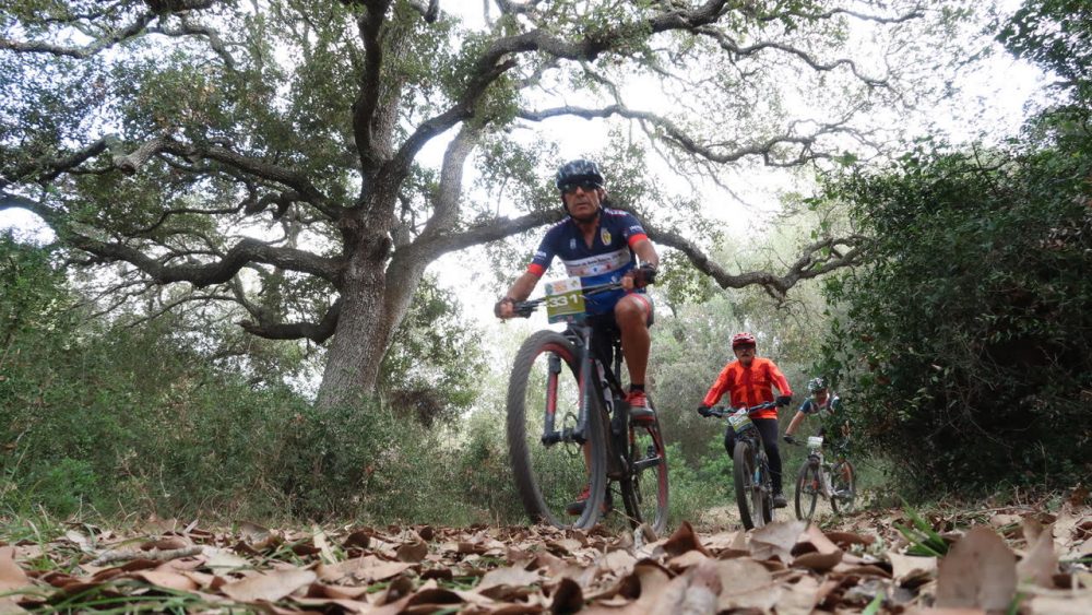 Imagen de los ciclistas en uno de los tramos (Fotos: Rosselló)