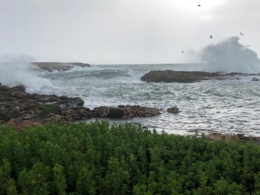 Temporal en la costa sur (Fotos y vídeo: Tolo Mercadal)