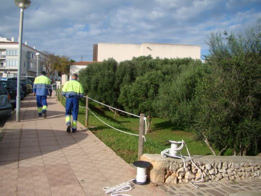 La barrera delimita la zona verde con la zona de paseo