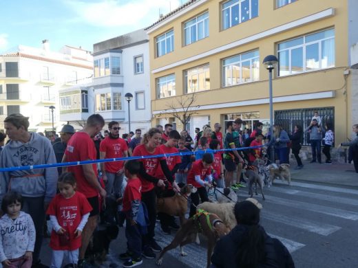 (Galería de fotos) Perros y dueños, a la carrera en Ferreries