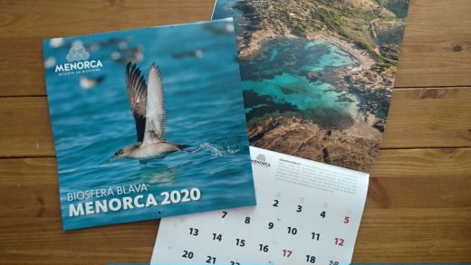 Imagen del calendario institucional 2020