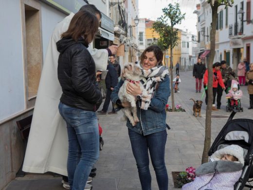 (Fotos) Bendición de animales en Es Mercadal