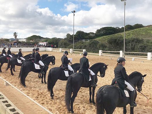 (Fotos) Doma para dar la bienvenida a Sant Antoni