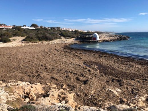 (Fotos) Cala’n Porter, s’Algar, Binibeca… así están una semana después de “Gloria”