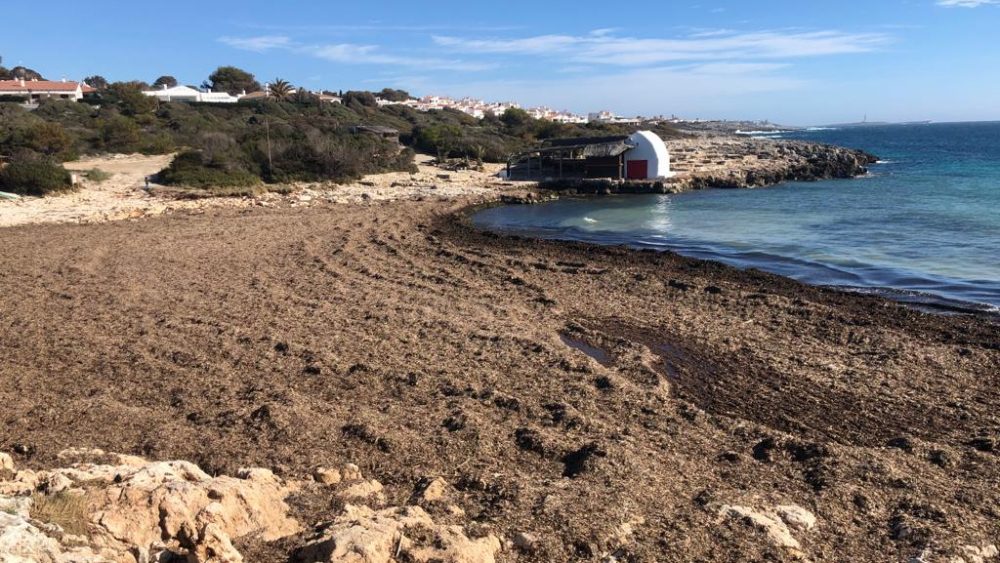 Así estaba hoy la playa de Binibeca (Fotos: Tolo Mercadal)