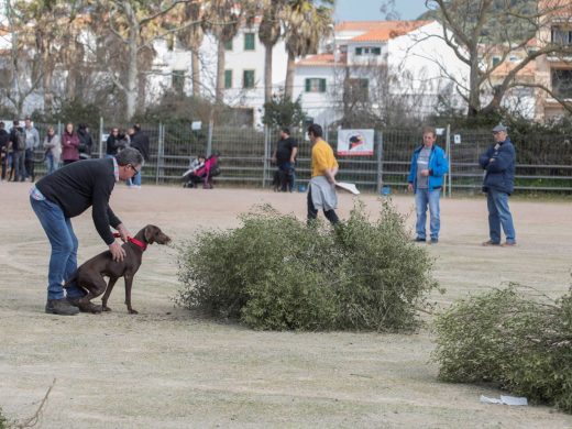 (Fotos) Éxito de la Fira de sa Perdiu en Es Mercadal