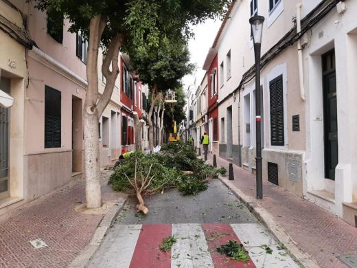 Los operarios municipales ya han comenzado a trabajar en el Camí des Castell