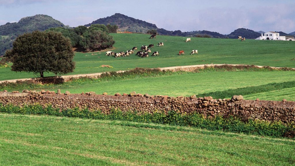 Muchasds fincas de Menorca forman parte del programa de custodia agraria (Foto: Turismo de Menorca)