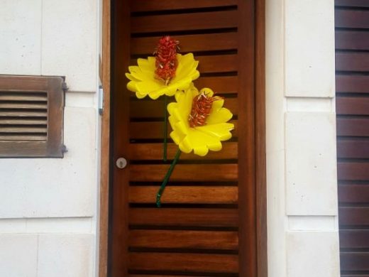 (Galería de fotos) Flores y alegría contra el coronavirus