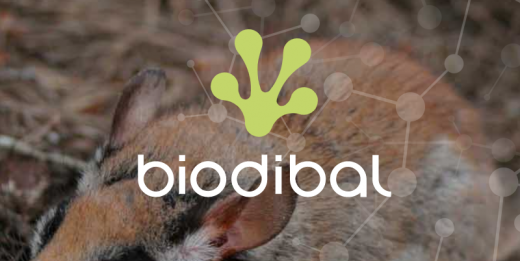 Biodibal, un proyecto de la Universidad de las Illes Balears