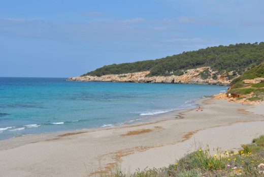 Playa de Binigaus (Foto: EA)