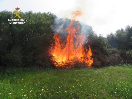 Una imagen del incendio (Fotos: Guardia Civil)