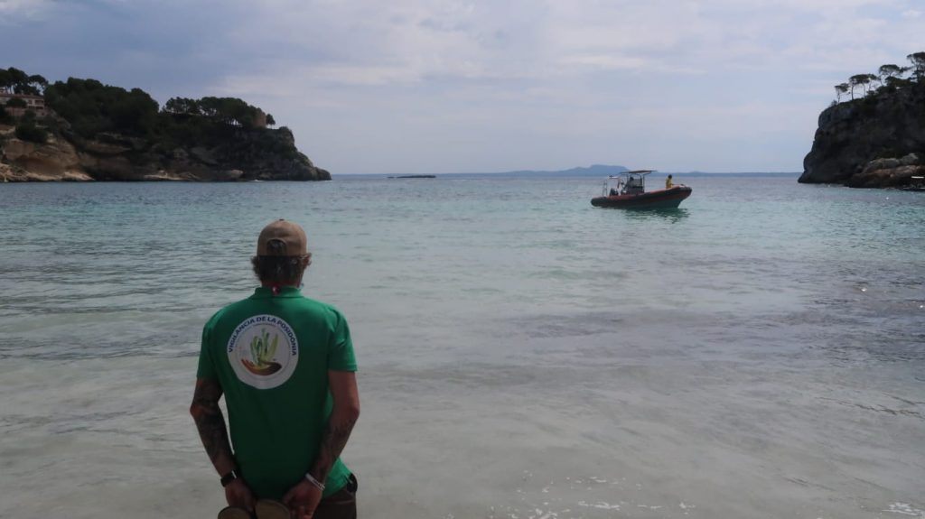 Servicio de vigilancia de la posidonia