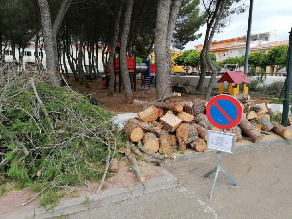 Plaça dels Pins.