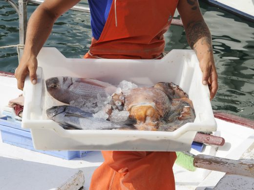 (Fotos) Una Isla para chuparse los dedos