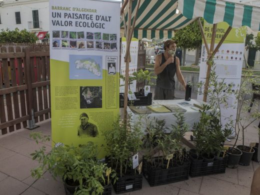 (Fotos) Es Mercadal se convierte en el centro de los productos ecológicos