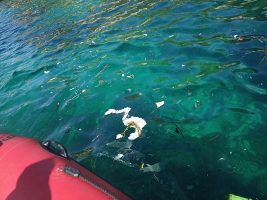 (Fotos) Los palistas del Nàutic limpian las aguas de Sa Farola