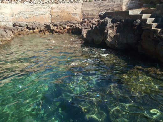 (Fotos) Los palistas del Nàutic limpian las aguas de Sa Farola