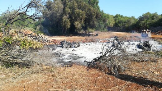 Zona en la que se ha declarado el incendio (Foto: Ibanat)