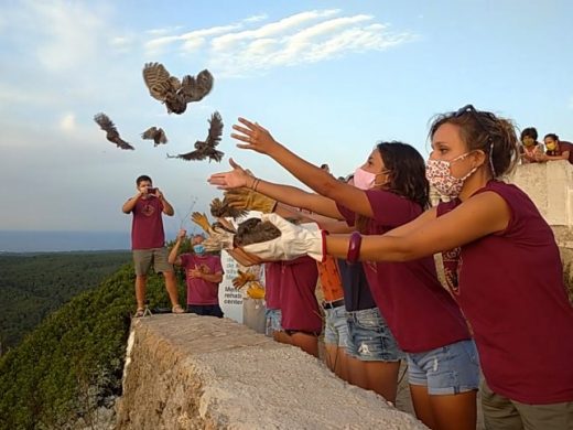 Volando libres