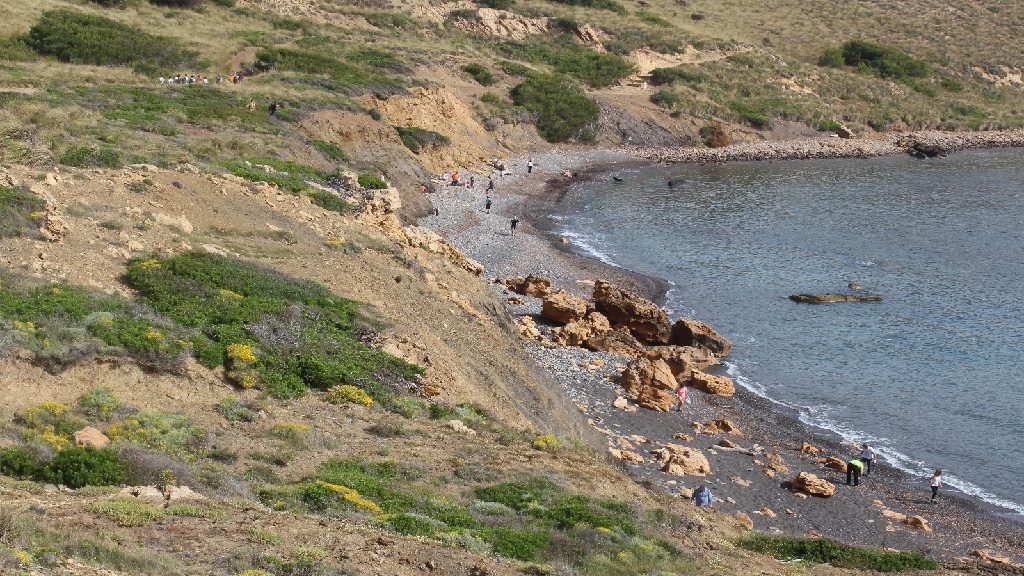 Actuación en una playa de la Isla (Foto: GOB Menorca)