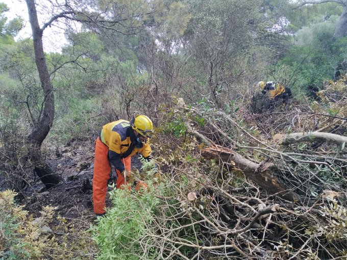 Bomberos actuando en la zona afectada (Foto: Ibanat)