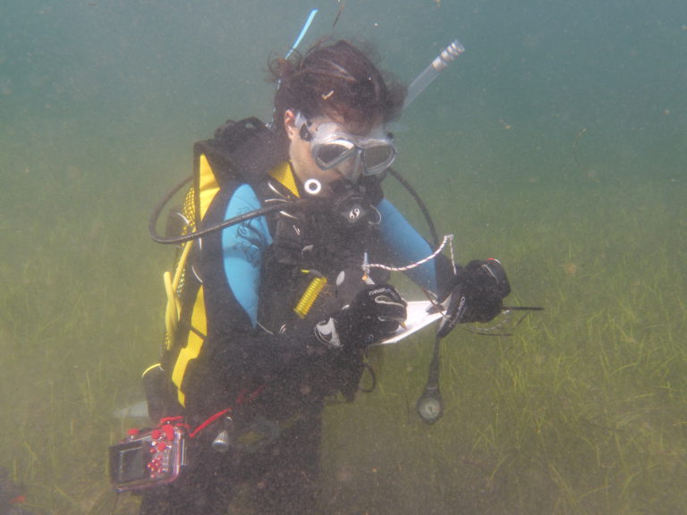 Trabajo de campo en la bahía de Fornells (Imagen: OBSAM)