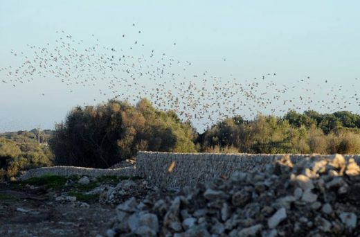 El apacible clima otoñal.