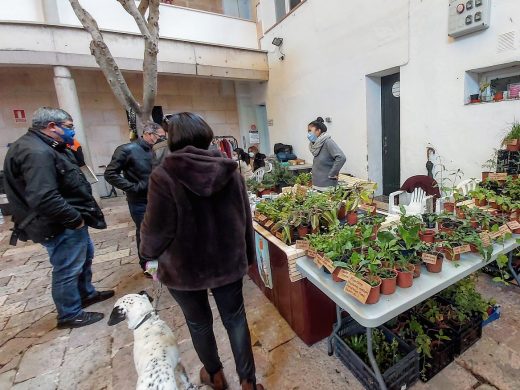 (Galería de fotos) Es Castell vive su “Mercat de Nadal”