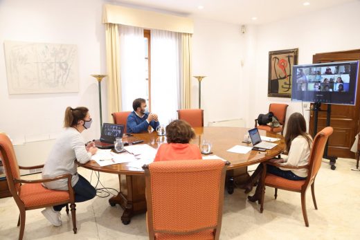 Imagen de la reunión telemática.