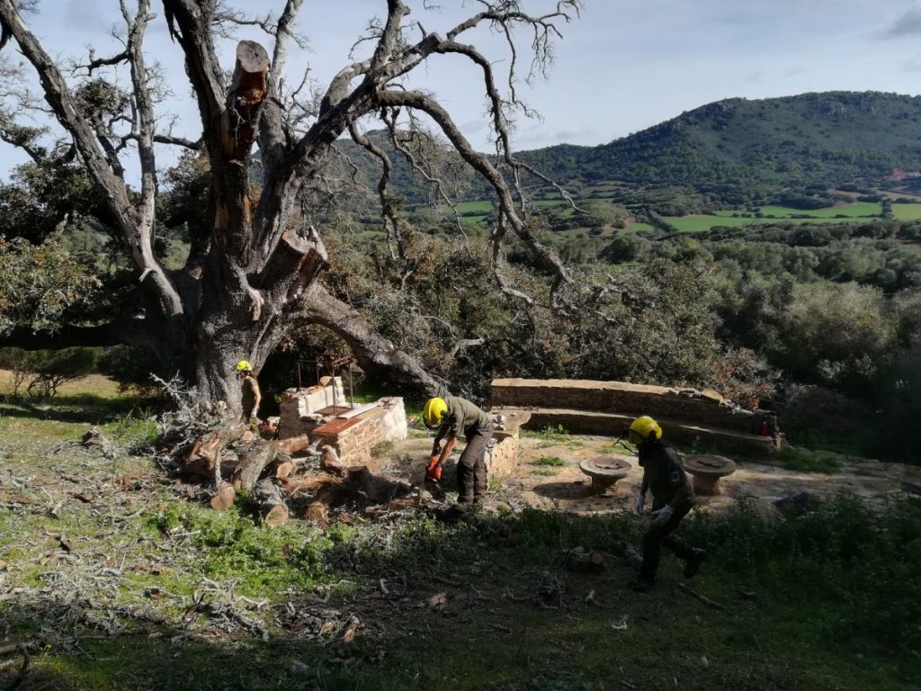 Trabajadores del Ibanat en S'Arangí (Foto: Ibanat)