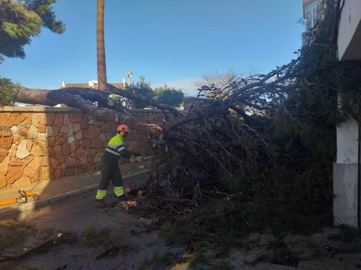 (Fotos) Huracán de incidentes